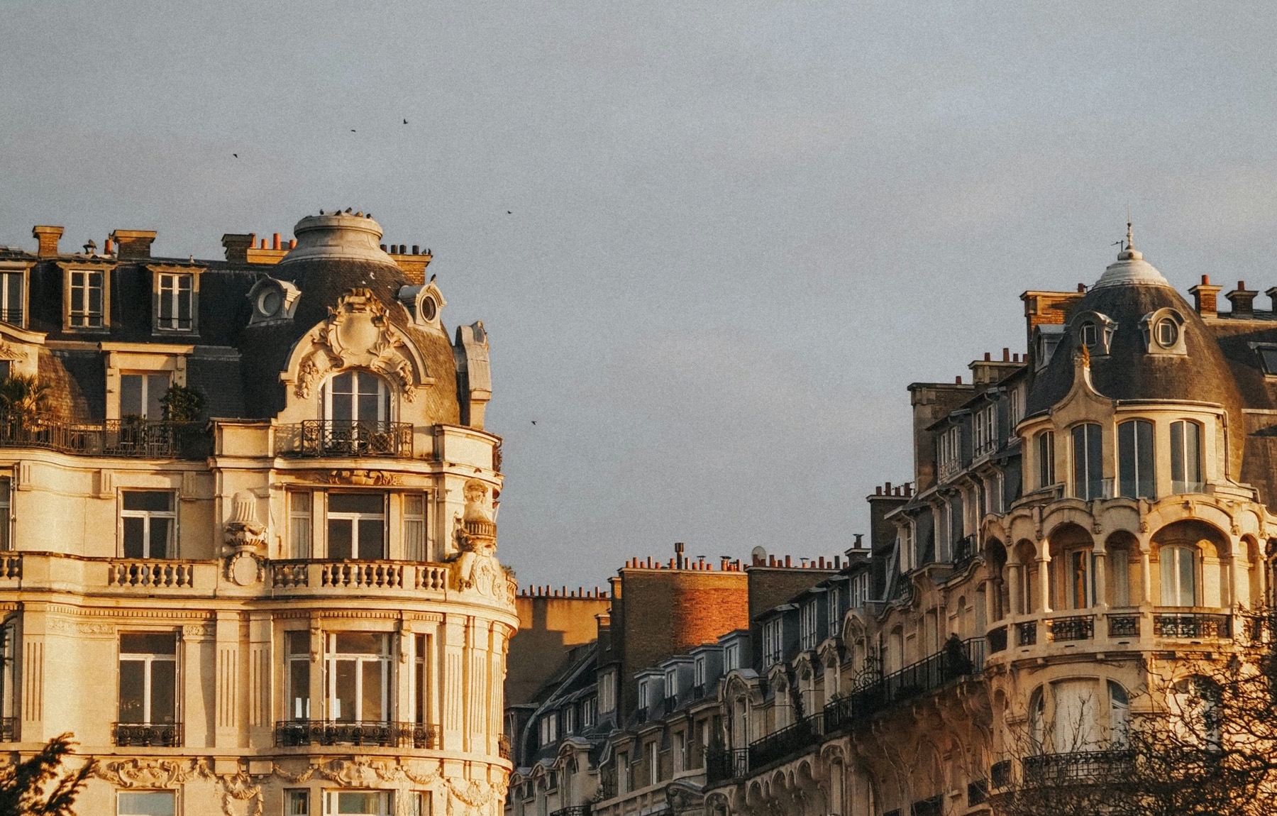Golden Haussmann facades in Paris